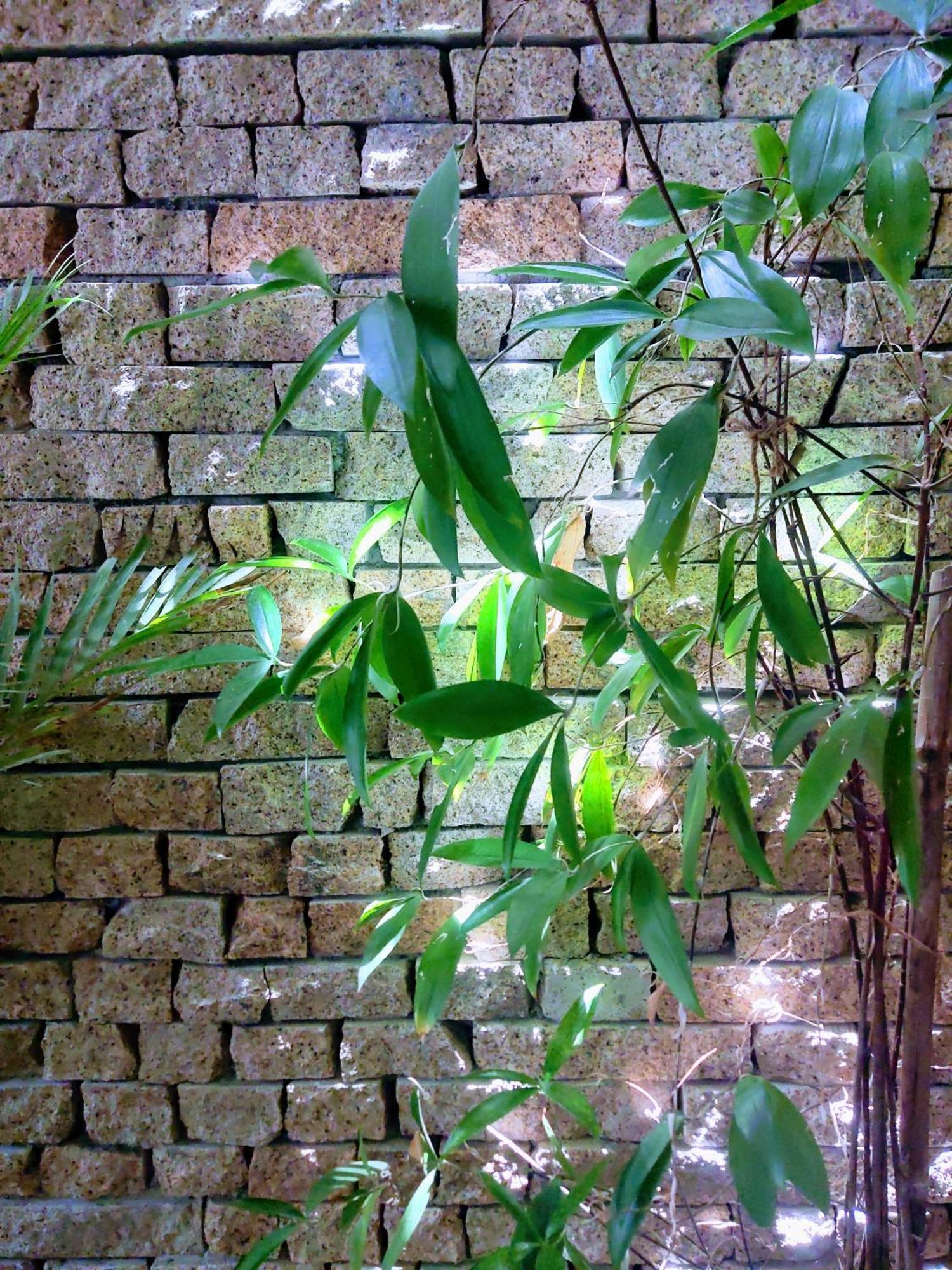 Nap Homestay Kinh Dinh Kültér fotó