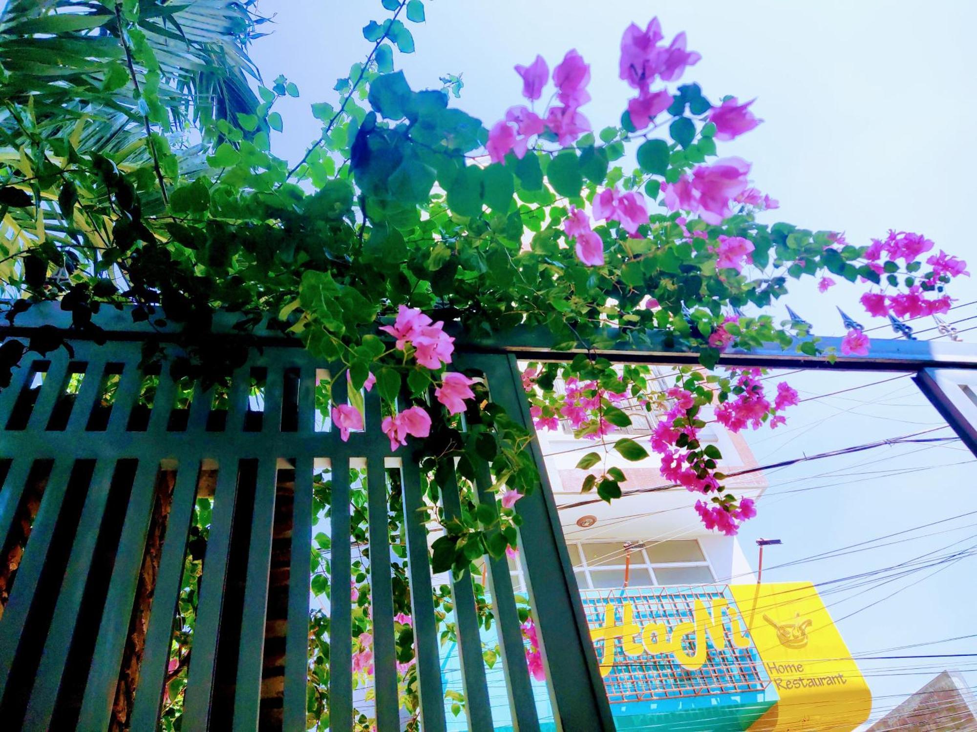 Nap Homestay Kinh Dinh Kültér fotó