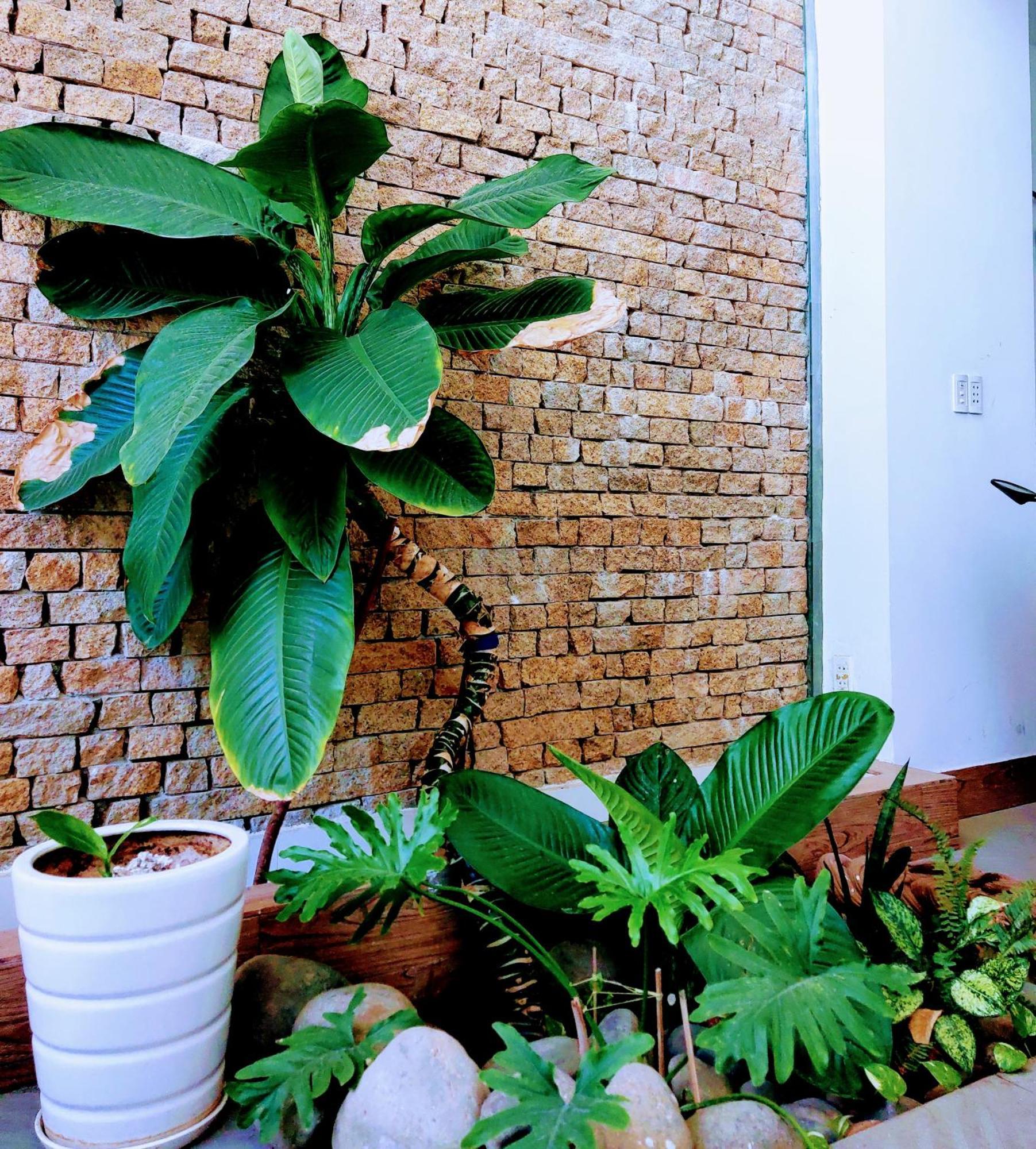 Nap Homestay Kinh Dinh Kültér fotó