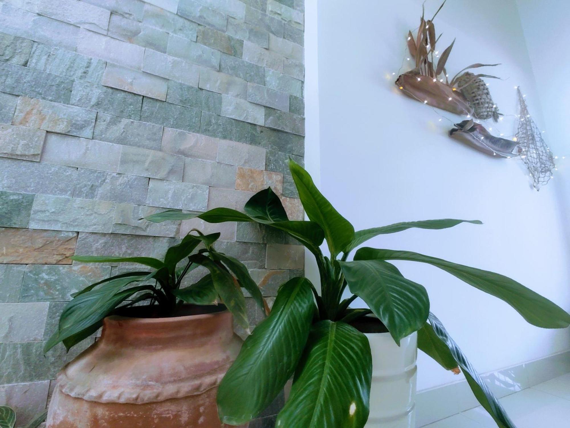 Nap Homestay Kinh Dinh Kültér fotó
